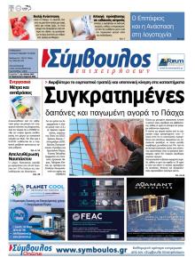 Σύμβουλος Επιχειρήσεων