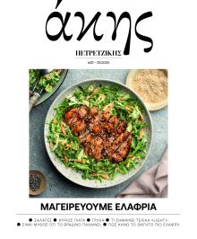 ΠΡΩΤΟ ΘΕΜΑ - ΑΚΗΣ ΠΕΤΡΕΤΖΙΚΗΣ