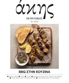 ΠΡΩΤΟ ΘΕΜΑ - ΑΚΗΣ ΠΕΤΡΕΤΖΙΚΗΣ
