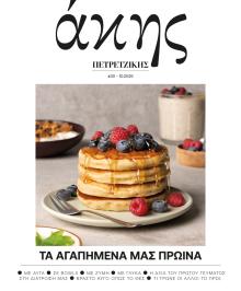 ΠΡΩΤΟ ΘΕΜΑ - ΑΚΗΣ ΠΕΤΡΕΤΖΙΚΗΣ